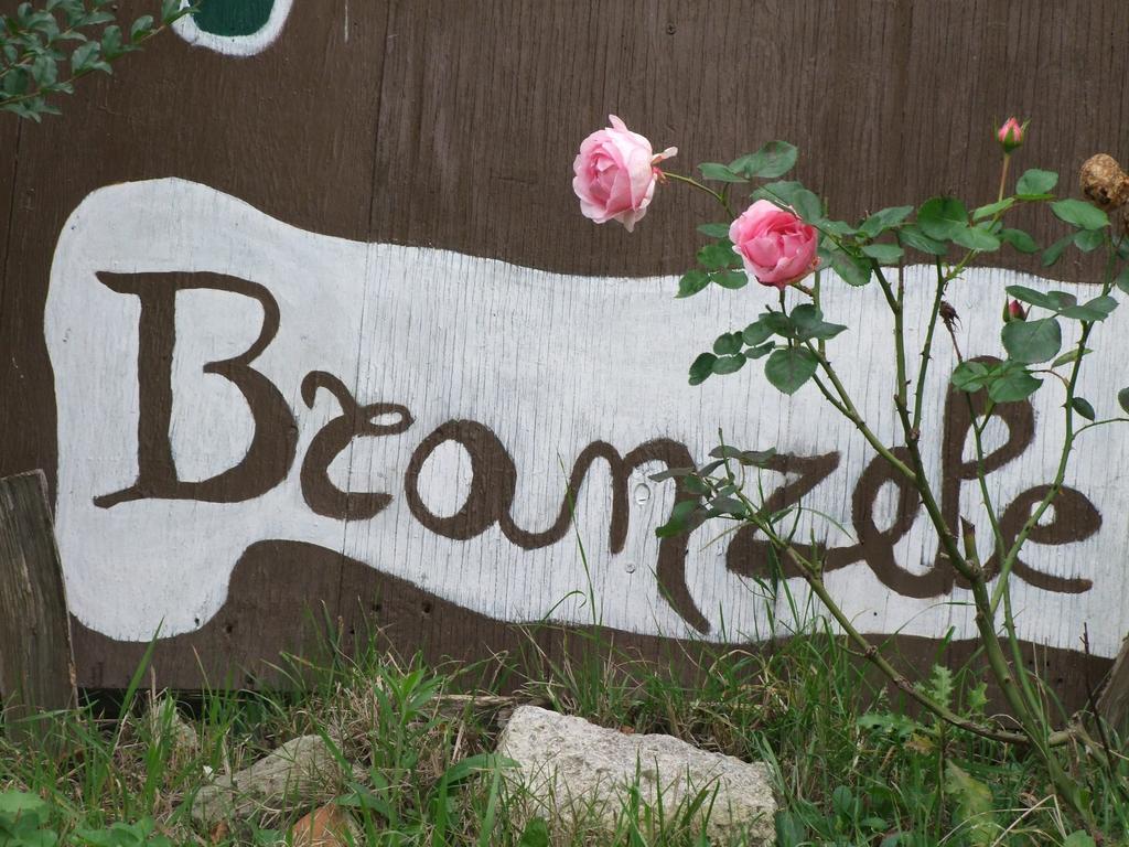 לינה וארוחת בוקר Trezzo Tinella Casa Branzele מראה חיצוני תמונה