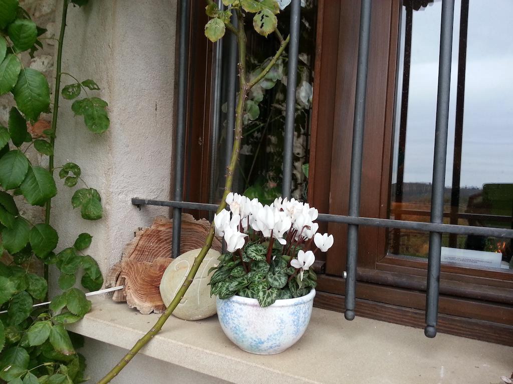 לינה וארוחת בוקר Trezzo Tinella Casa Branzele מראה חיצוני תמונה